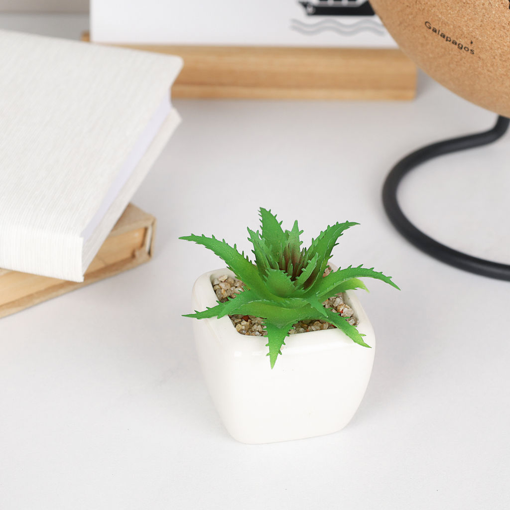 Цветочная композиция Кактус 9 см / FA2891 /уп 12/192/