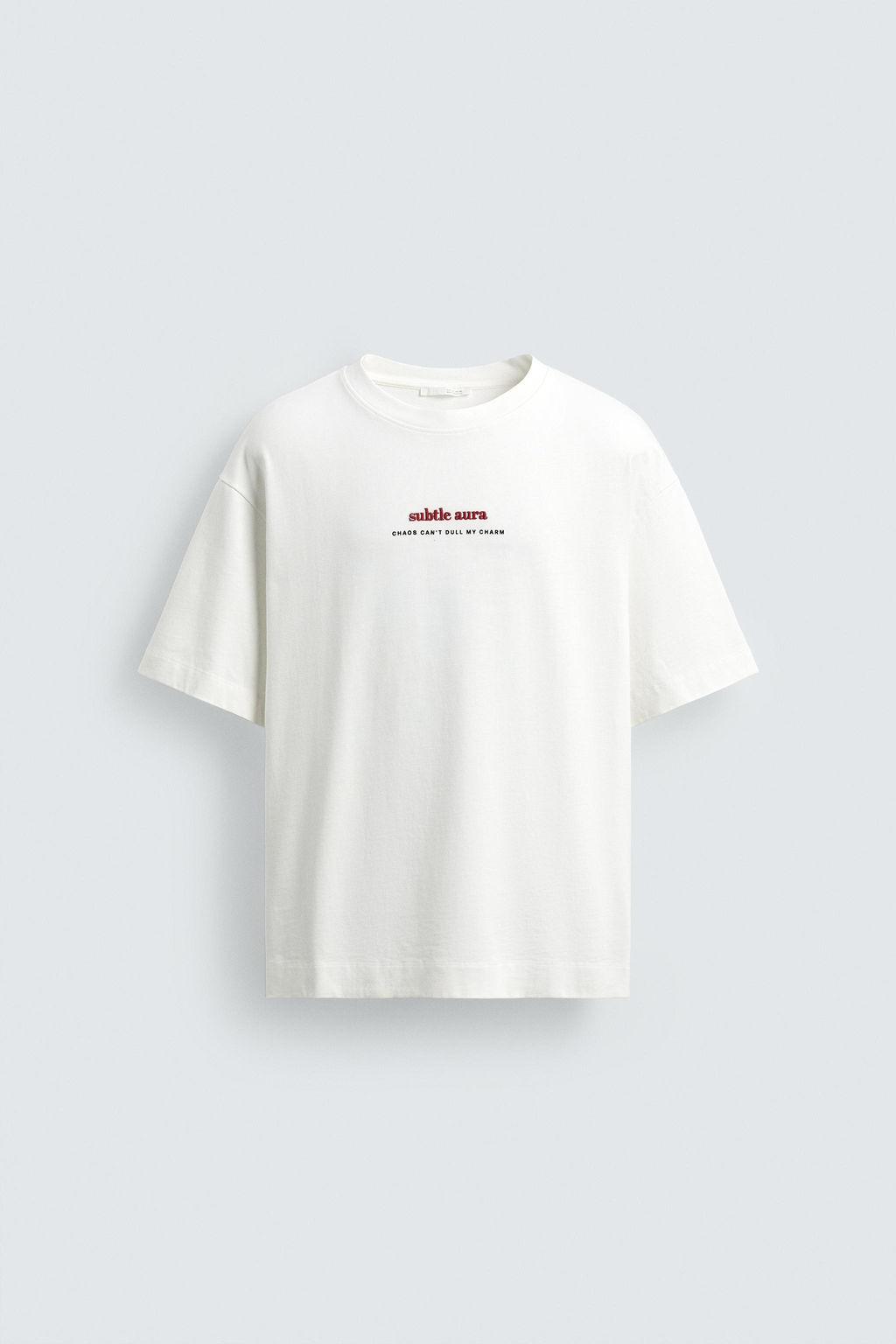 CAMISETA TEXTOS BORDADO ESTAMPADO / Blanco - Zara фото 7