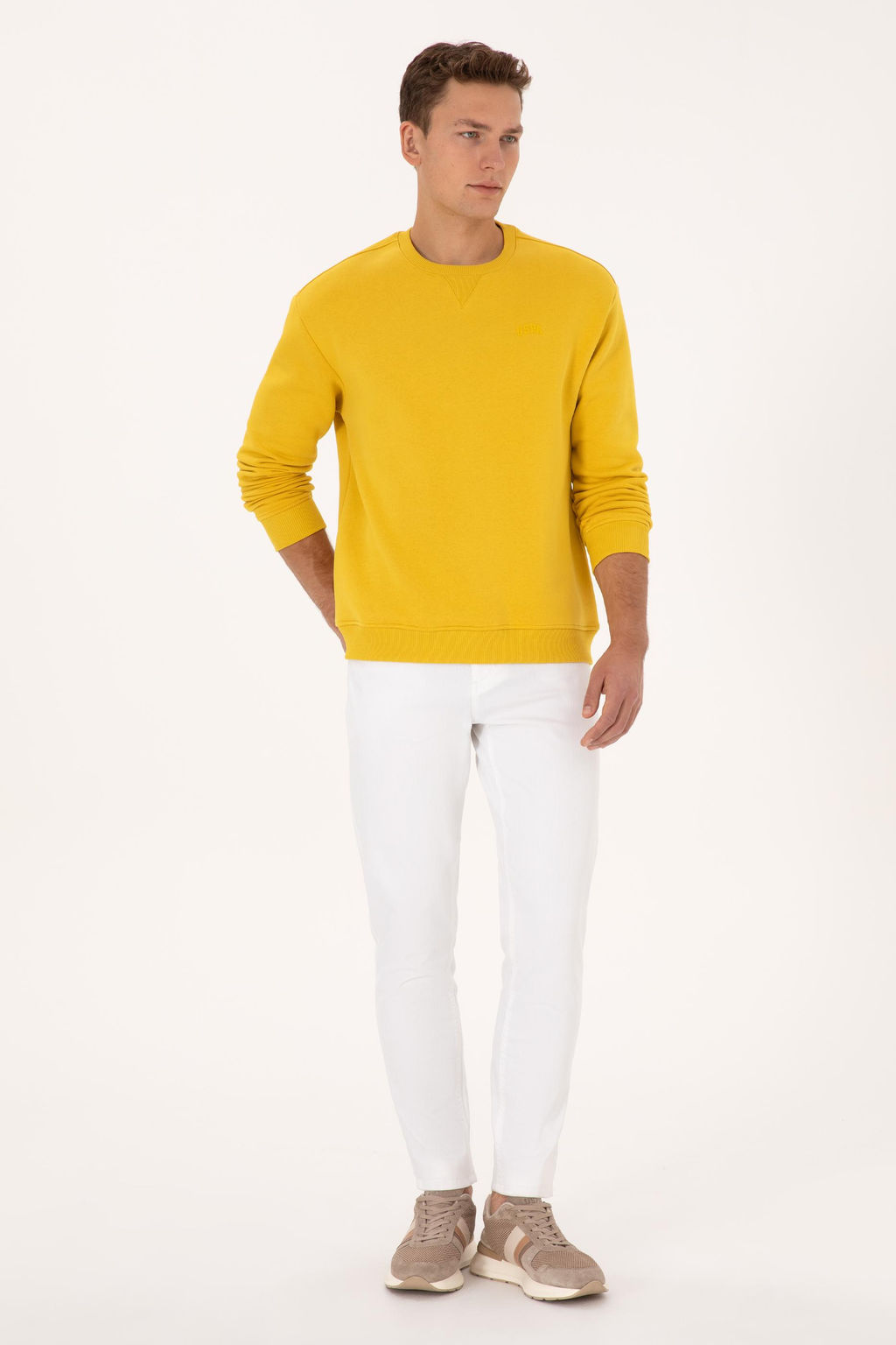 Erkek Sar_ Basic Sweatshirt