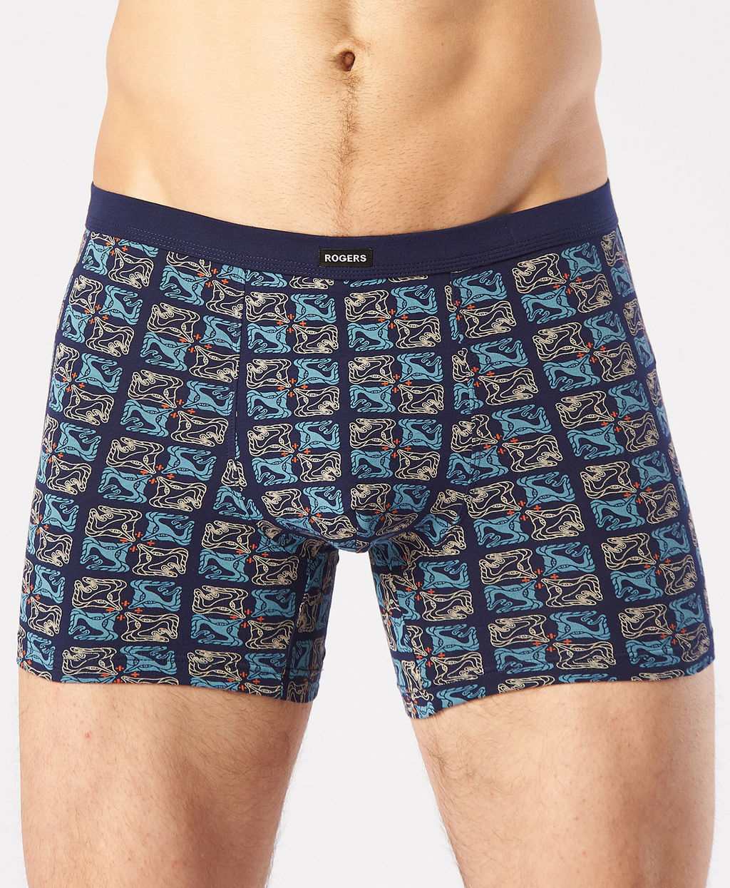 Трусы мужские боксеры Rogers 8702 хлопок, эластан размеры M, L, XL, 2XL фото 7