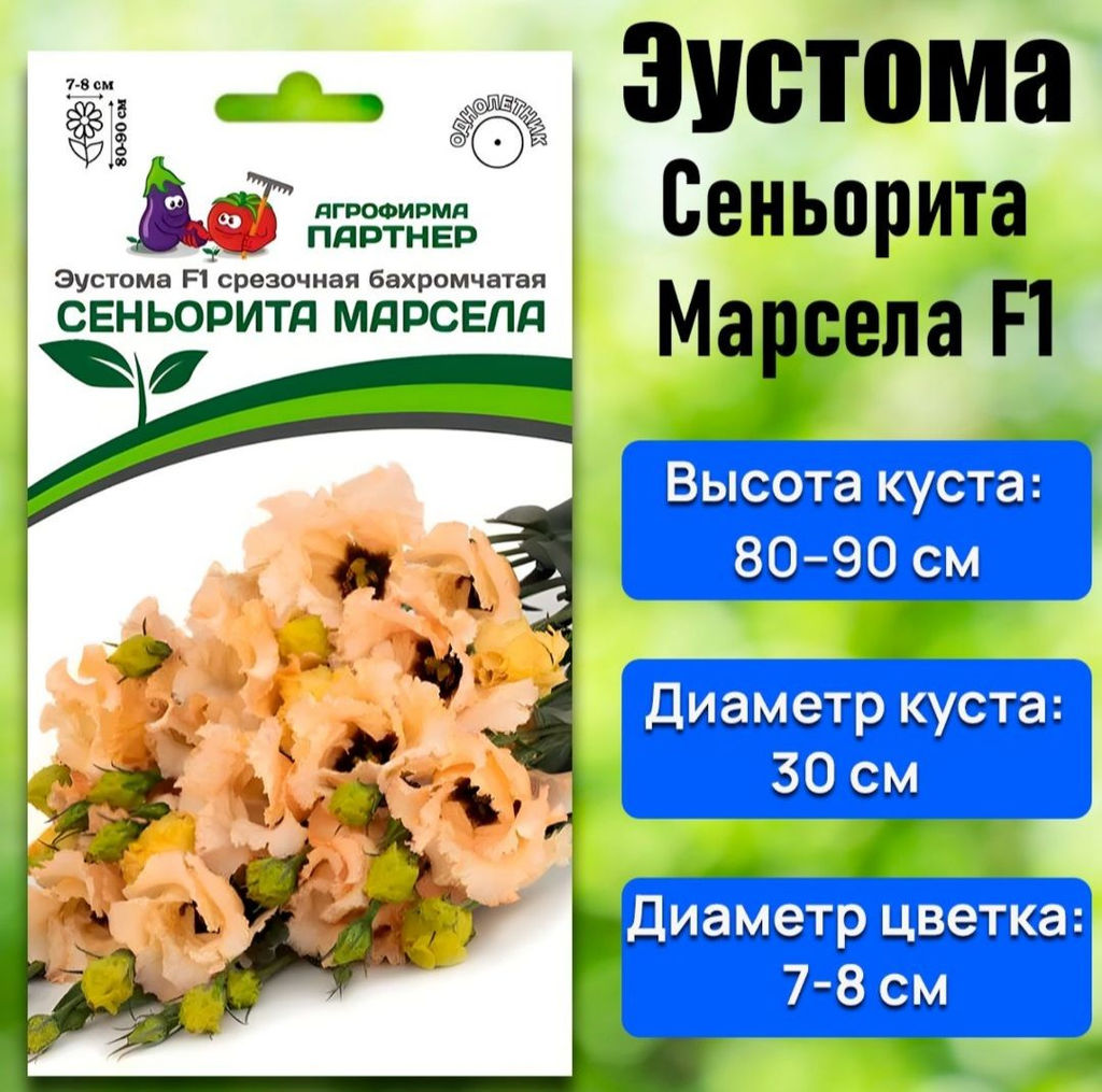 3382P Эустома F1 срезочная бахромчатая СЕНЬОРИТА МАРСЕЛА 5шт