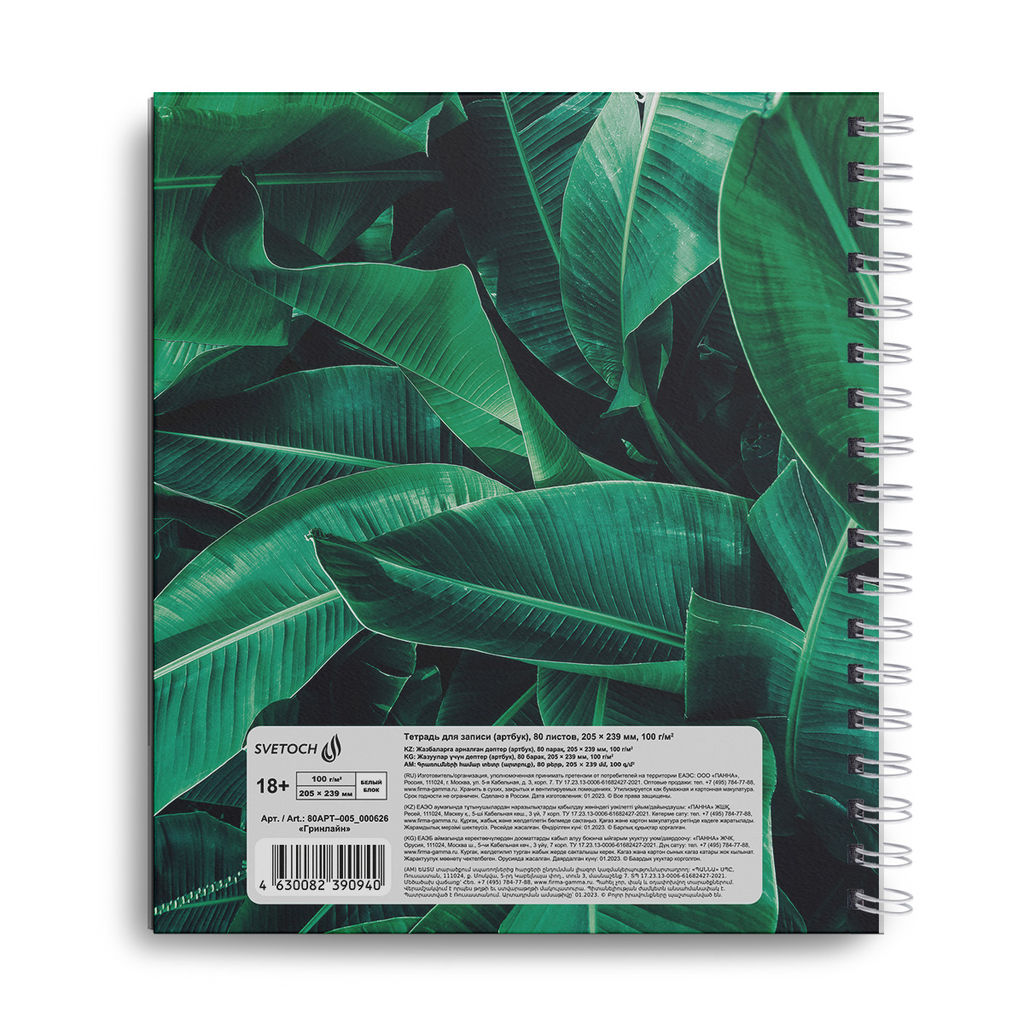 Светоч 80АРТ-005 Артбук (Скетчбук), глянцевая ламинация, блок белый, 100 г/м2 23.9 х 20.5 см на гребне 80 л. 2 шт. Гринлайн 000626  фото 4