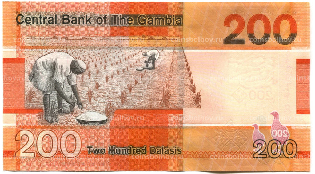 200 даласи 2023 года Гамбия