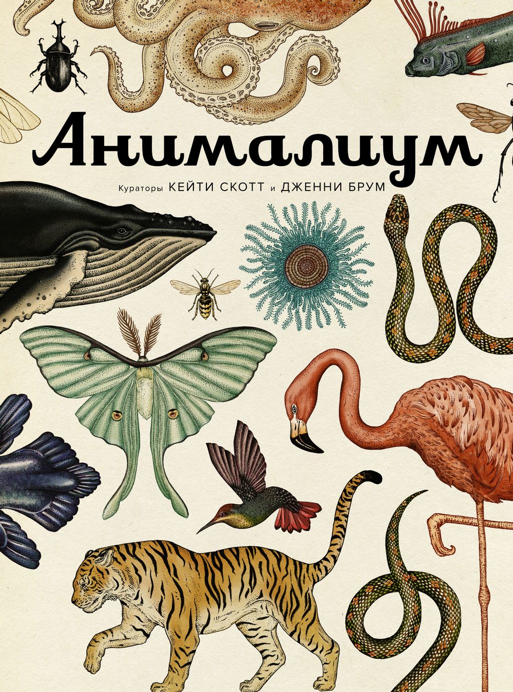 Анималиум. Брум Д. - Махаон фото 2