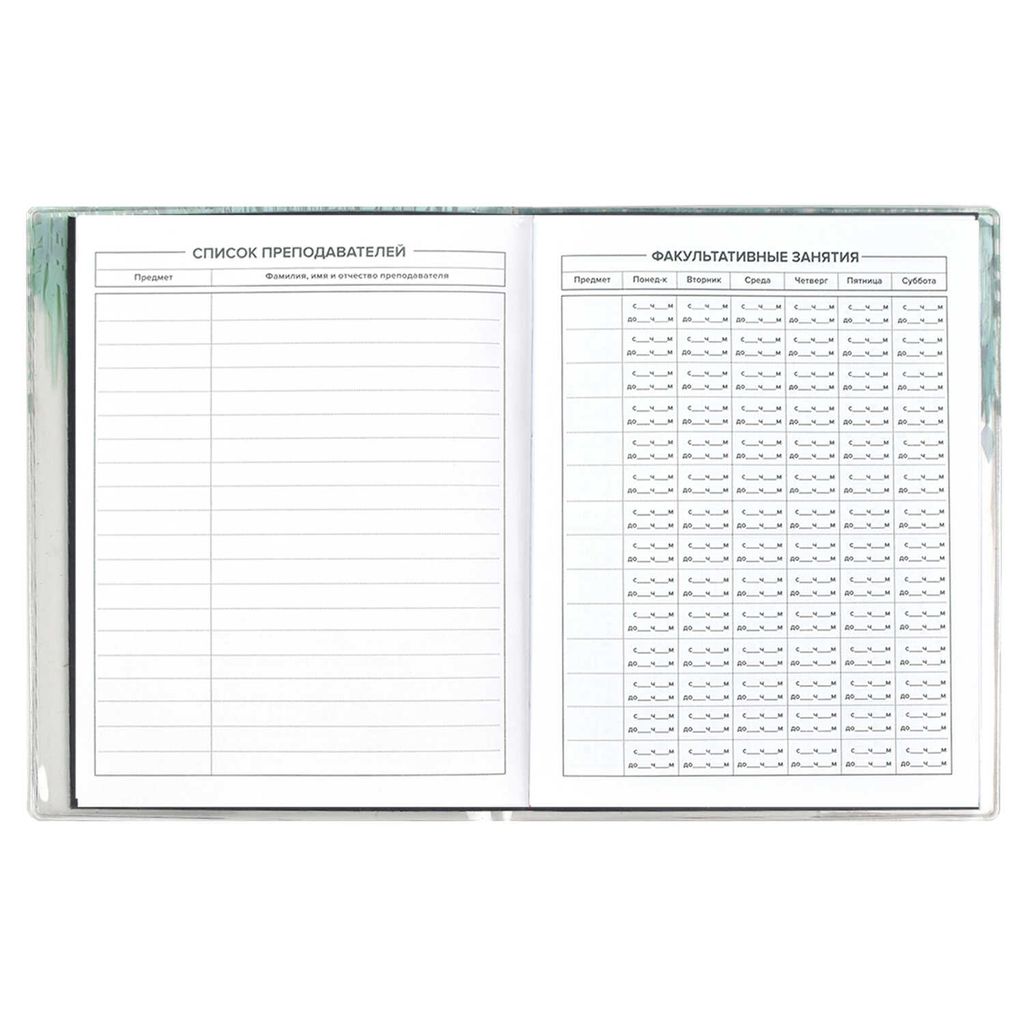 Дневник школьный арт. 54247 / 15 ЕНОТЫ - Феникс+ фото 6