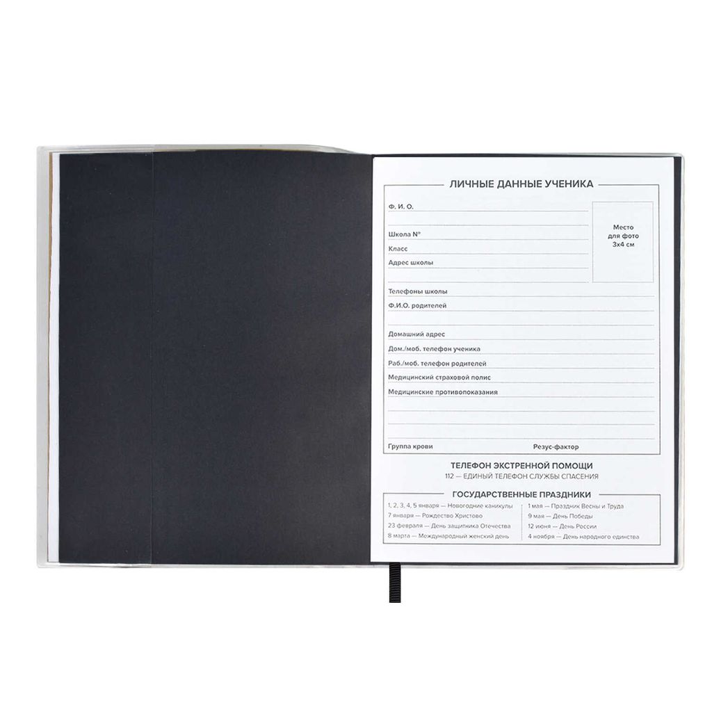 Дневник школьный арт. 54185 / 15 ЛИМОН - Феникс+ фото 6