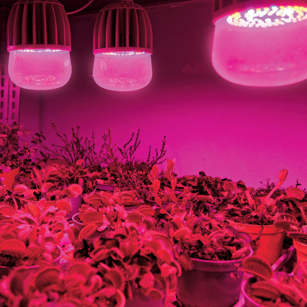 LED-M80-20W/SP/E27/CL ALS55WH Лампа светодиодная для растений, IP54. Форма "M", прозрачная колба. Материал корпуса алюминий. Упаковка картон.