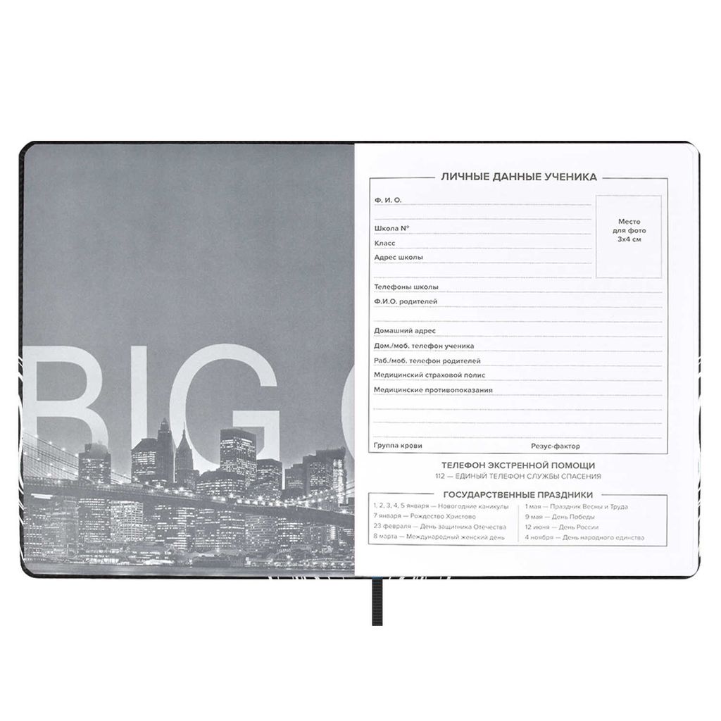 Дневник школьный арт. 59019 / 15 ДЕВУШКА В ОЧКАХ - Феникс+ фото 9