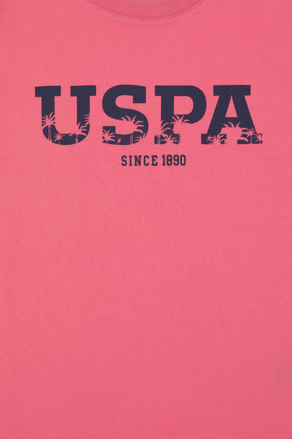 Erkek _ocuk Pembe Basic Ti__rt Sepette S_rpriz _ndirim - U.s. polo assn фото 4