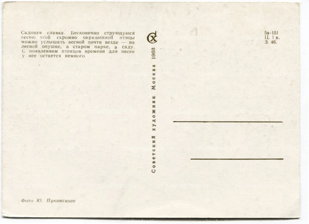 Открытка Садовая славка