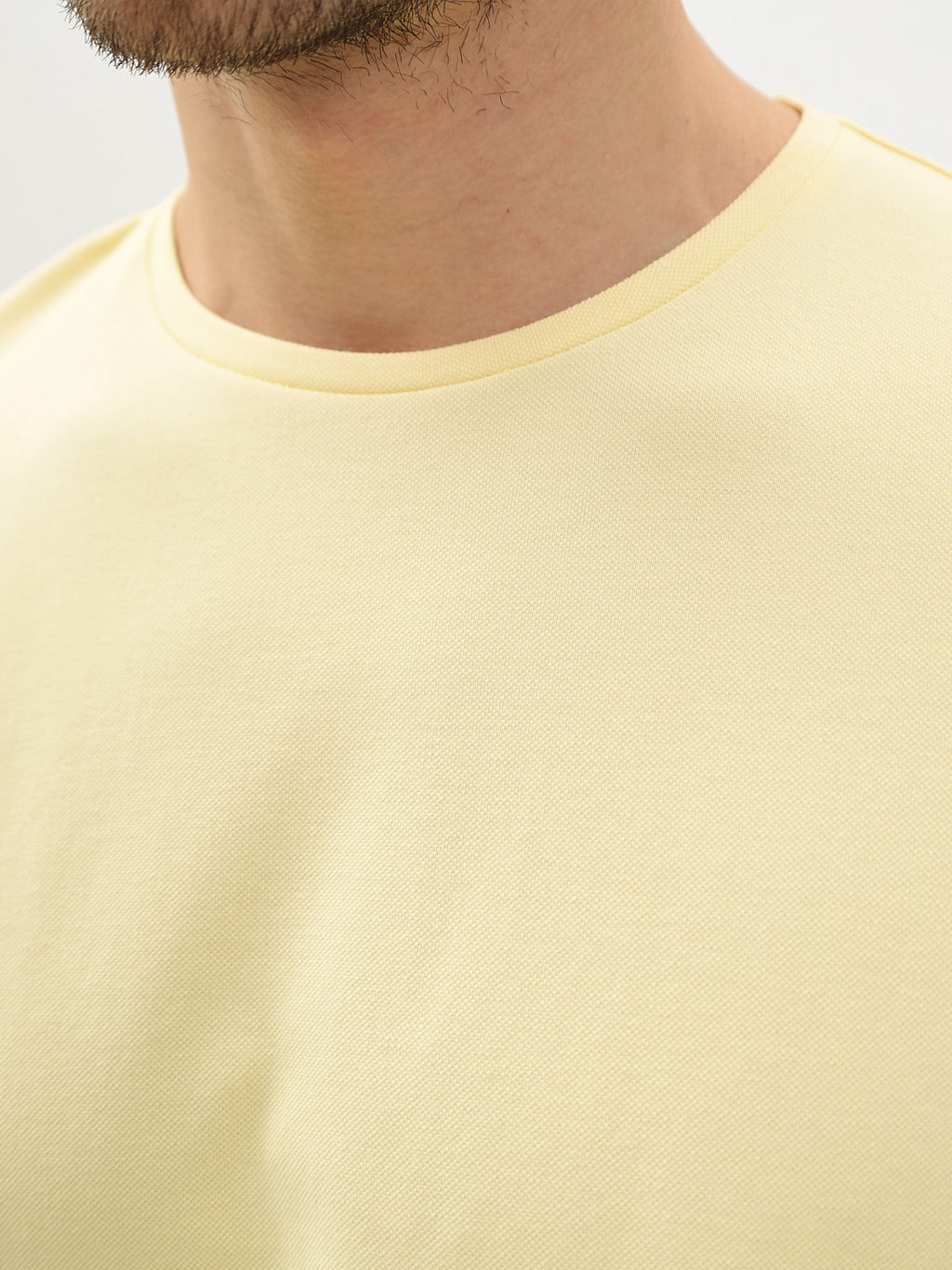 Футболка мужская короткий рукав GREG G145-PO4T-SA0048 (лимон)  фото 2