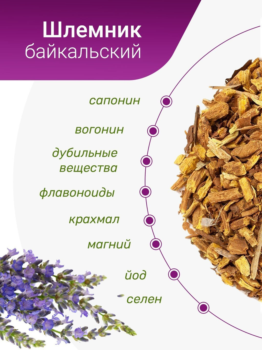 Шлемник байкальский - Травы горного крыма фото 8