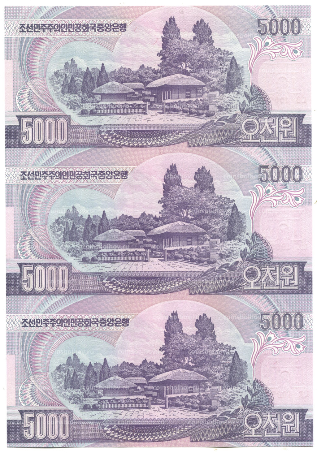 Банкнота 5000 вон 2006 года Северная Корея Лист из трех банкнот