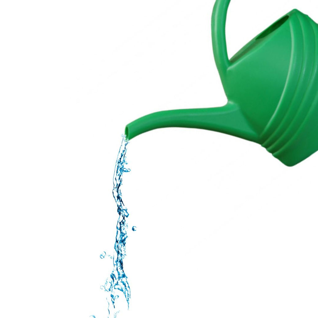 Цена за 2 шт. Лейка 2,5л. (уп.15) М290