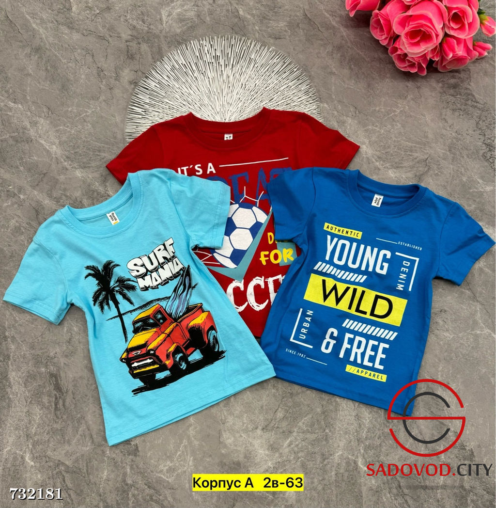 Футболка детская с принтом