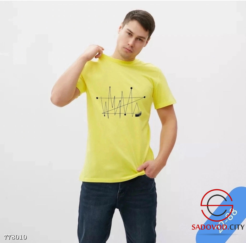 Футболка мужская с принтом