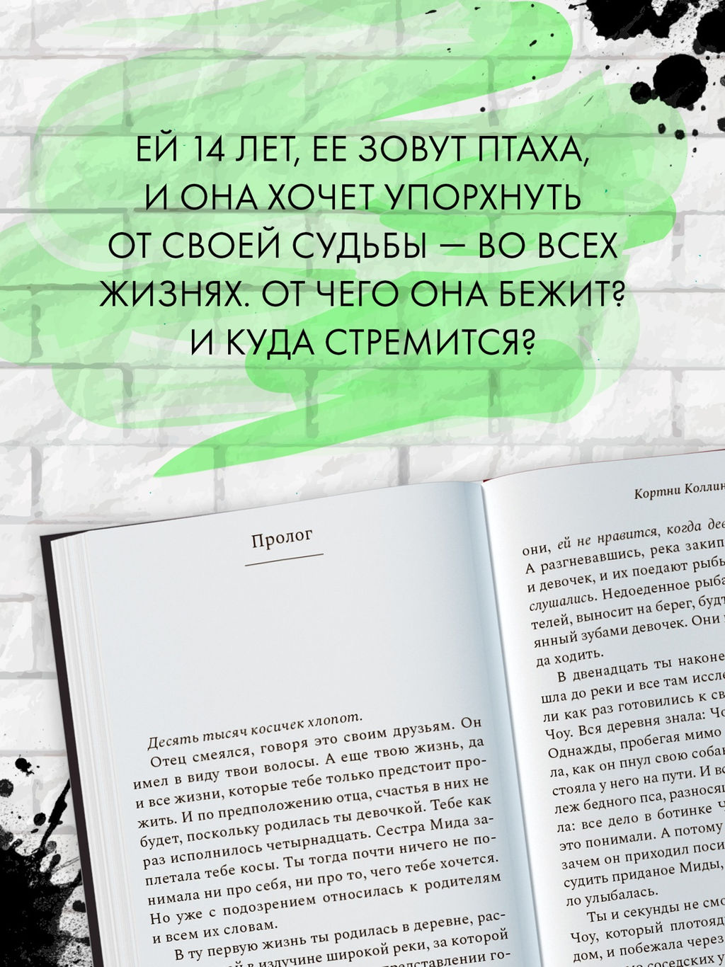 Птаха. Коллинз К. - Азбука фото 3