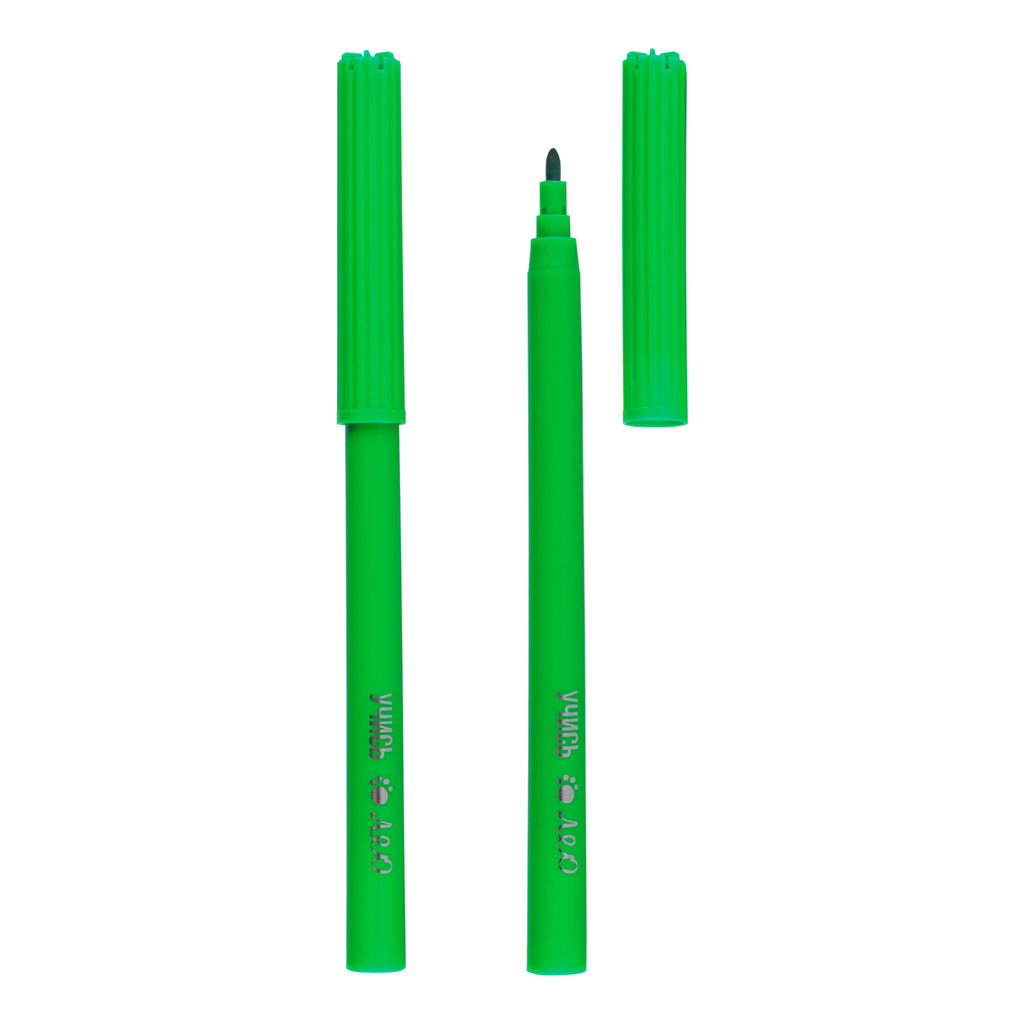 Лео Учись Фломастеры смываемые LSFP-12 12 цв