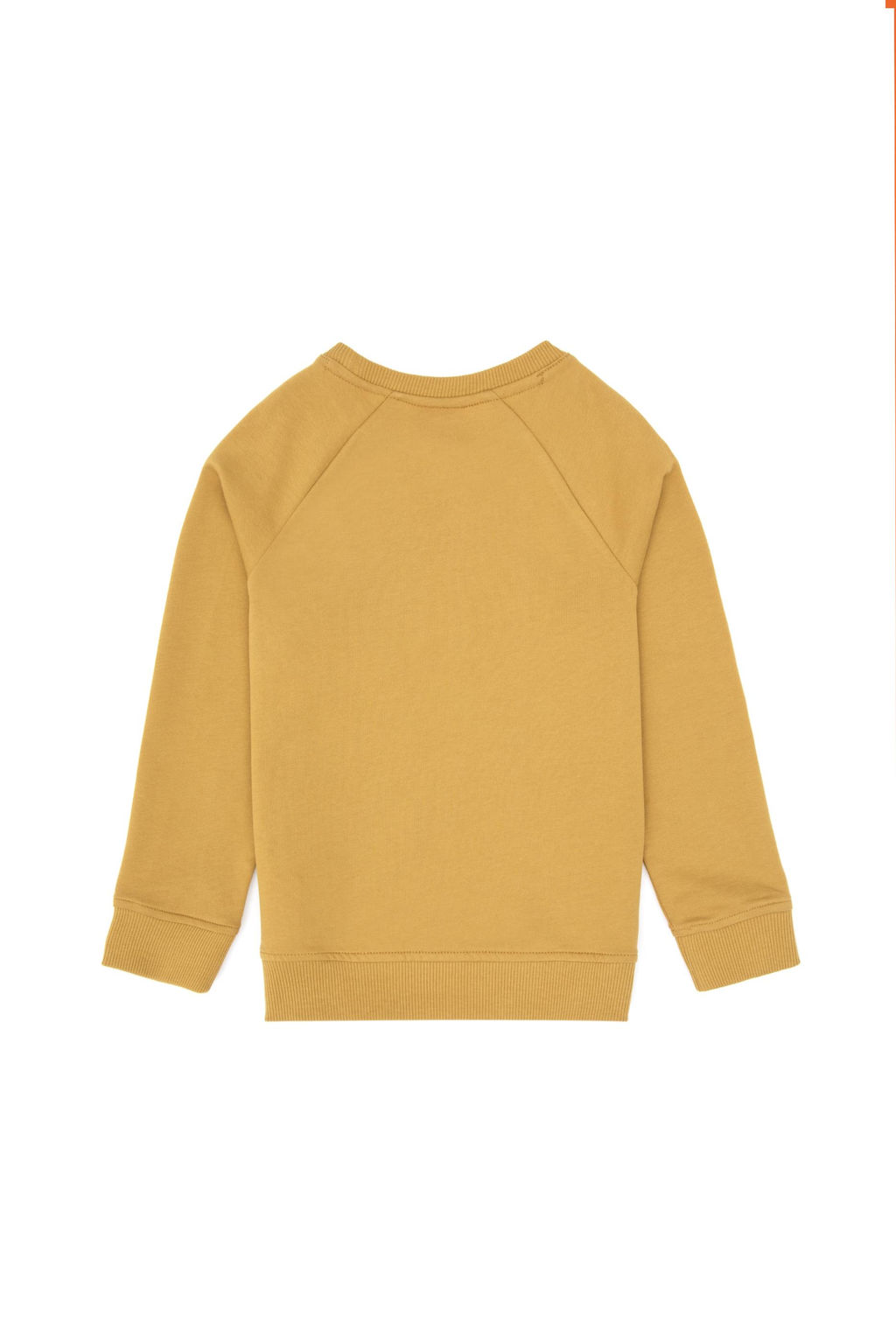 Erkek _ocuk Hardal Basic Sweatshirt Sepette S_rpriz _ndirim - U.s. polo assn фото 3
