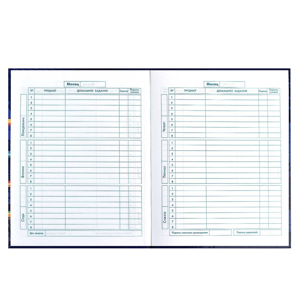 Дневник школьный 1-4 класс арт. 60067 СКЕЙТБОРДЫ - Феникс+ фото 9