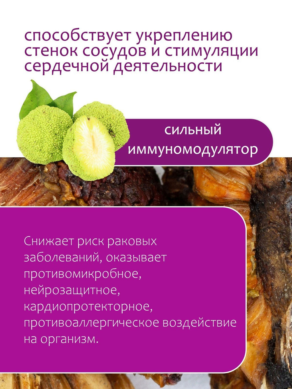 Маклюра (Адамово яблоко) - Травы горного крыма фото 5