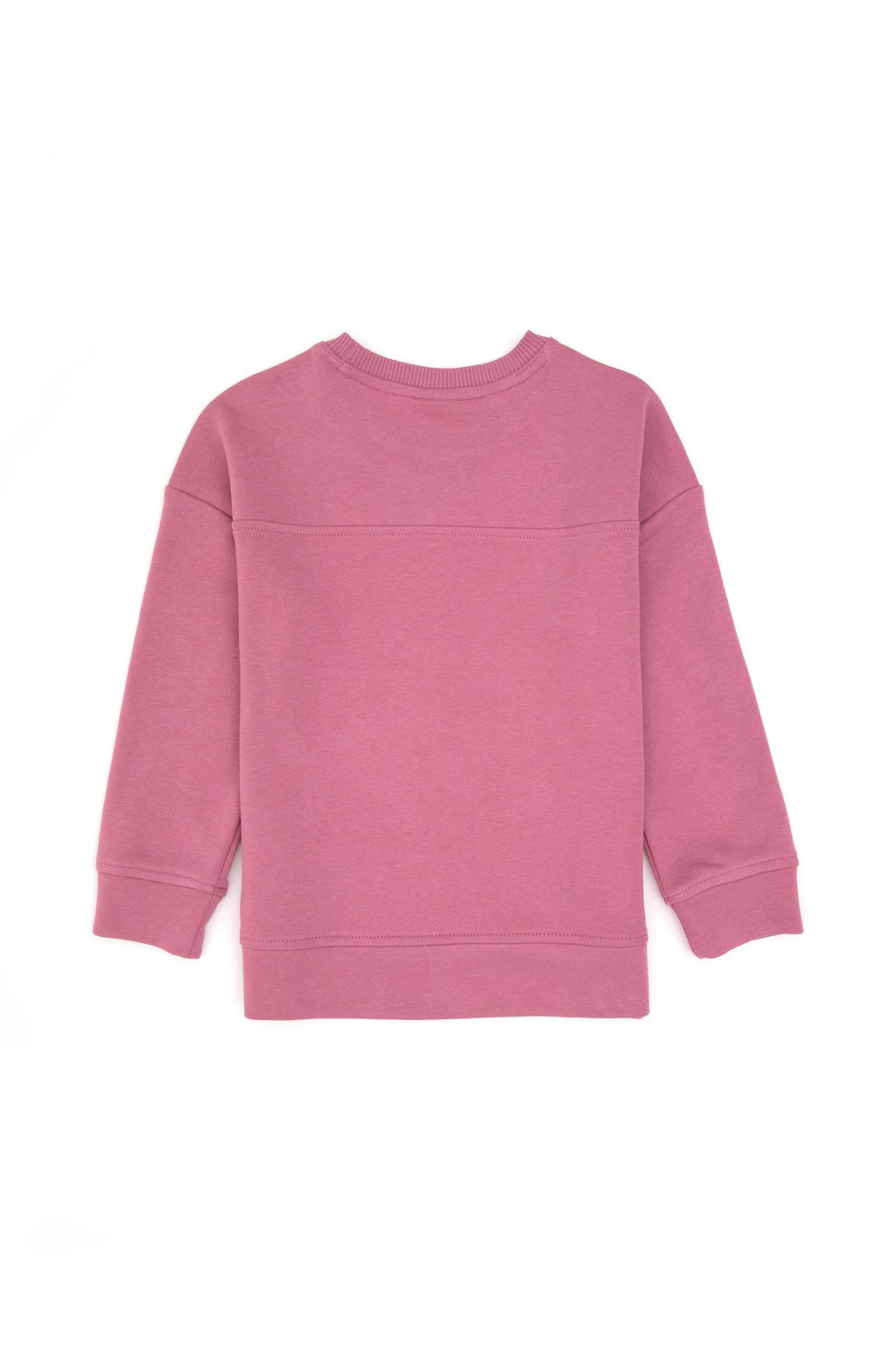 K_z _ocuk Pembe Simli Bask_ Detayl_ Bisiklet Yaka Basic Sweatshirt Sepette S_rpriz _ndirim - U.s. polo assn фото 2