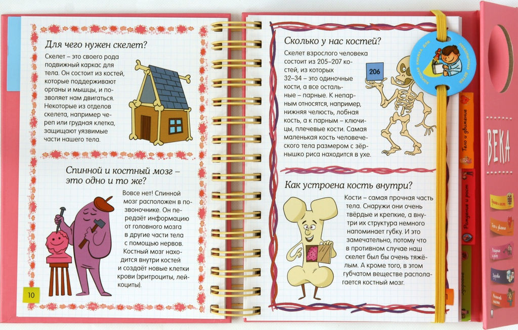 Тело человека (энциклопедия на пружине). Руайе А. - Махаон фото 4