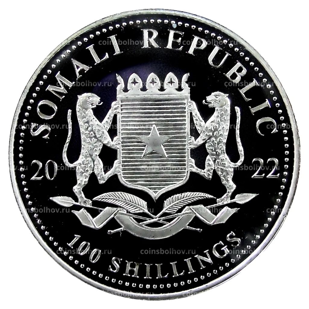 100 шиллингов 2022 года Сомали Фауна Aфрики  Леопард