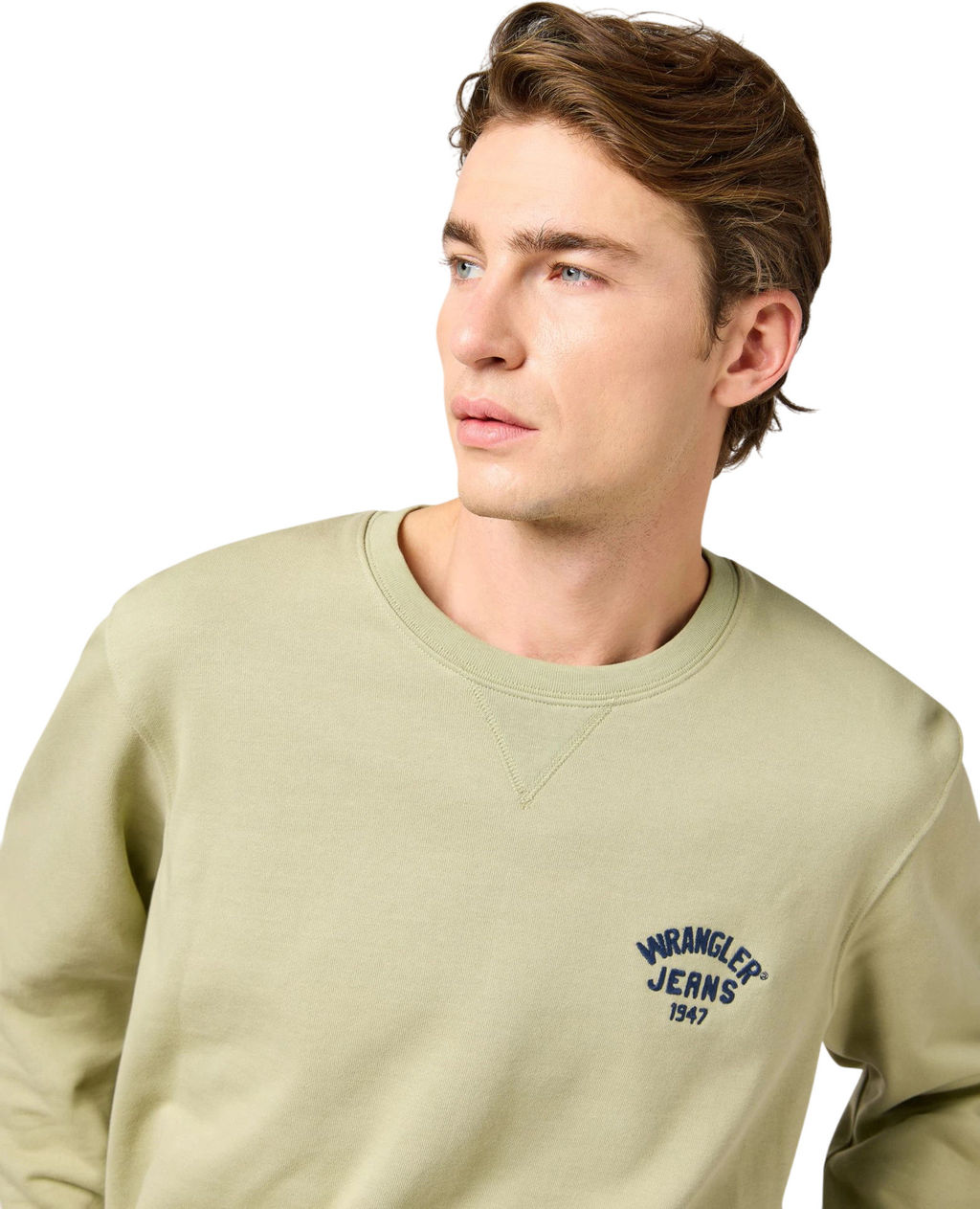 Джемпер мужской