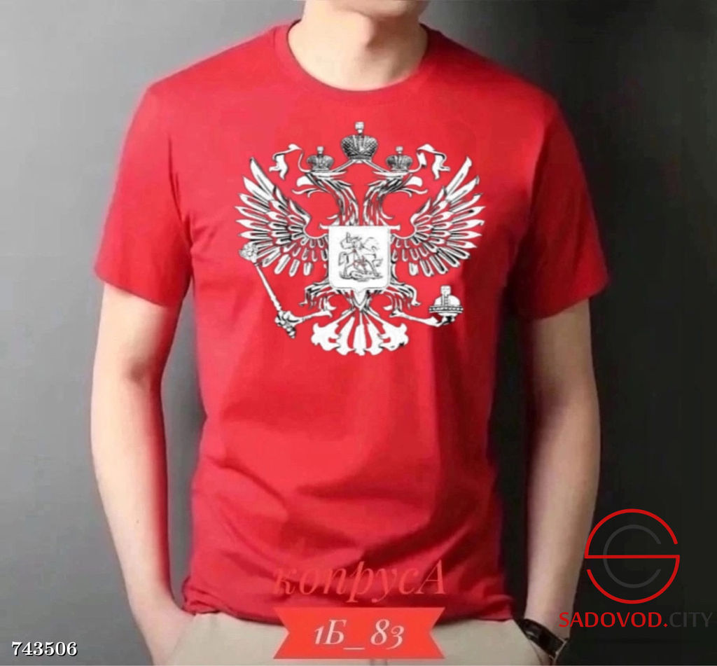 Мужская футболка с принтом