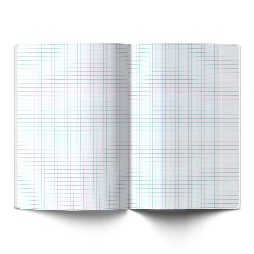 Светоч Тетрадь предметная На позитиве A5 40 л. на скобе 60 г/кв.м , белизна 90 % 10 шт. , клетка 40ТСК5_000091 Алгебра