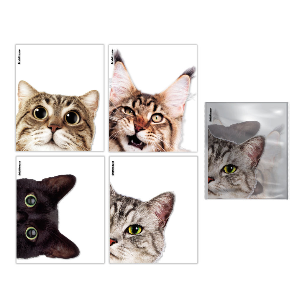 Цена за 1 шт. Набор пластиковых обложек ErichKrause Hiding Cats, для тетрадей и дневников, 212х347мм, 80 мкм, ассорти (пакет 12 шт.)