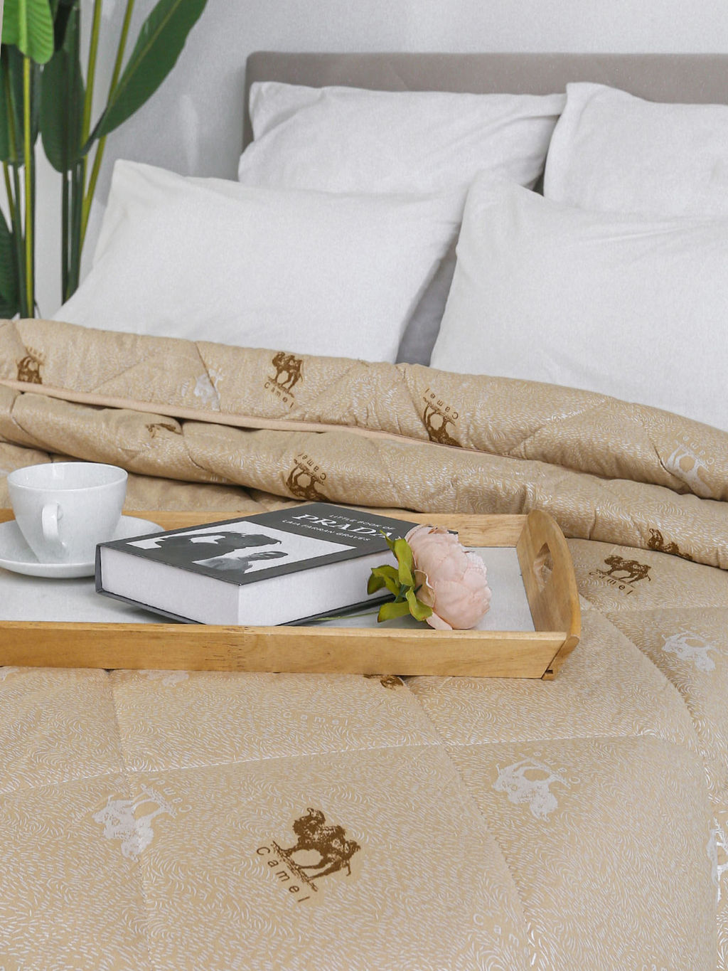 Одеяло ОТВШ Люкс обл Евро* 200х220