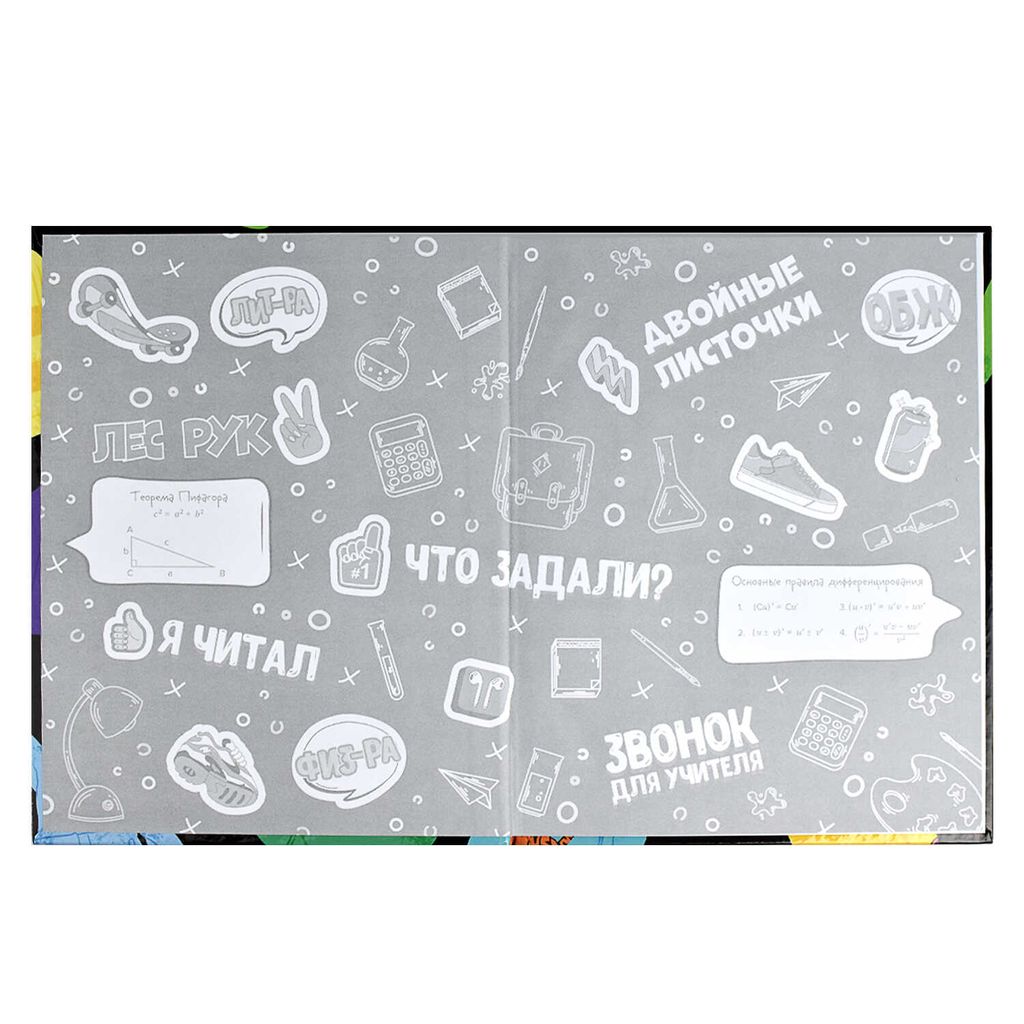 Дневник школьный 5-11 класс арт. 60090 КРУТОЙ ПРИНТ - Феникс+ фото 4