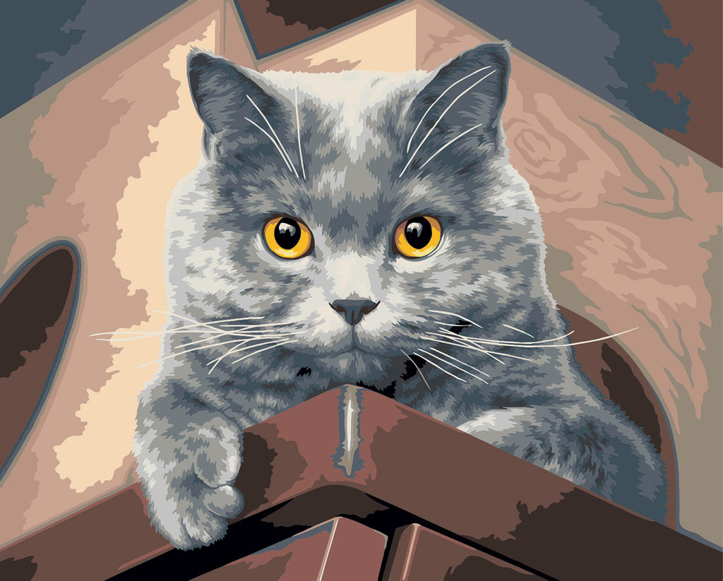 ФРЕЯ PNB/PL-356 Набор для раскрашивания по номерам 50 х 40 см Взгляд сверху