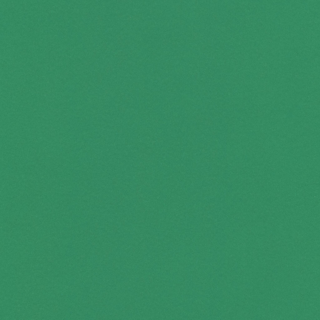 VISTA-ARTISTA Бумага цветная MPO-A4 120 г/м2 A4 21 х 29.7 см 50 шт. 25 темно-зеленый/dark green