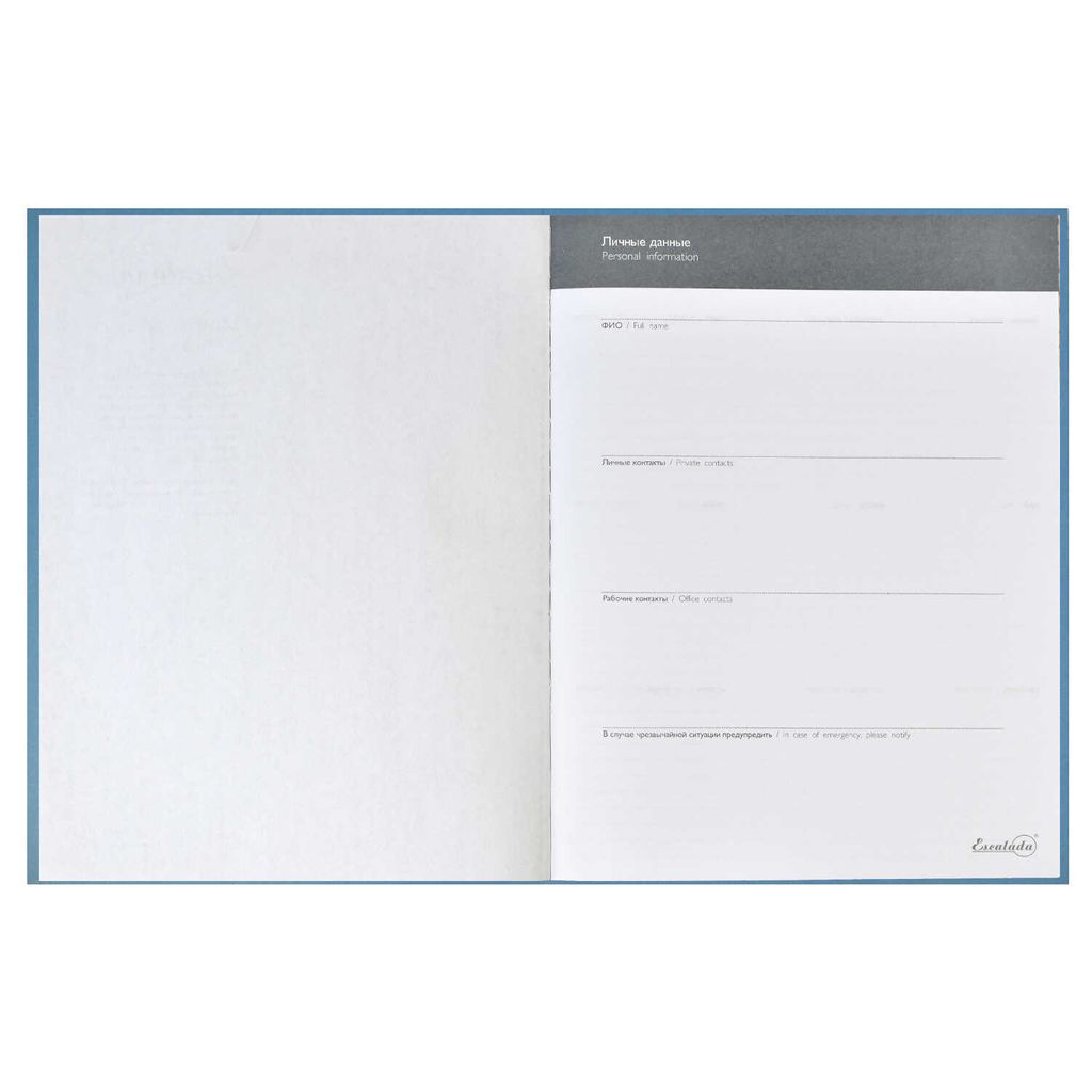Бизнес-блокнот недатированный арт.47601/10 ВЕЛЮР СЕРО-ГОЛУБОЙ - Escalada фото 4