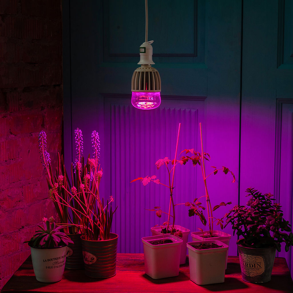 LED-M80-20W/SP/E27/CL ALS55WH Лампа светодиодная для растений, IP54. Форма "M", прозрачная колба. Материал корпуса алюминий. Упаковка картон.