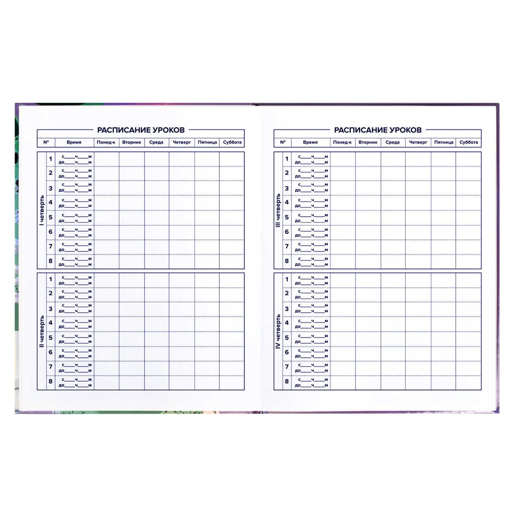 Дневник школьный 5-11 класс арт. 60135 КЕДЫ - Феникс+ фото 8