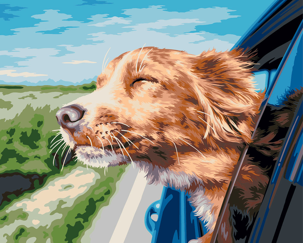 ФРЕЯ PNB/PL-361 Набор для раскрашивания по номерам 50 х 40 см Поездка на дачу