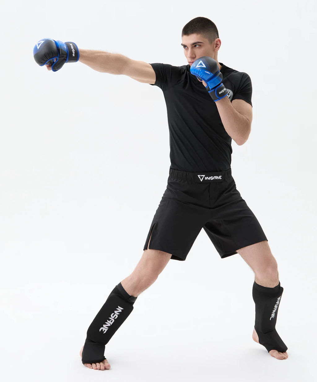 Перчатки MMA INSANE HYBRID IN24-MG200, синий