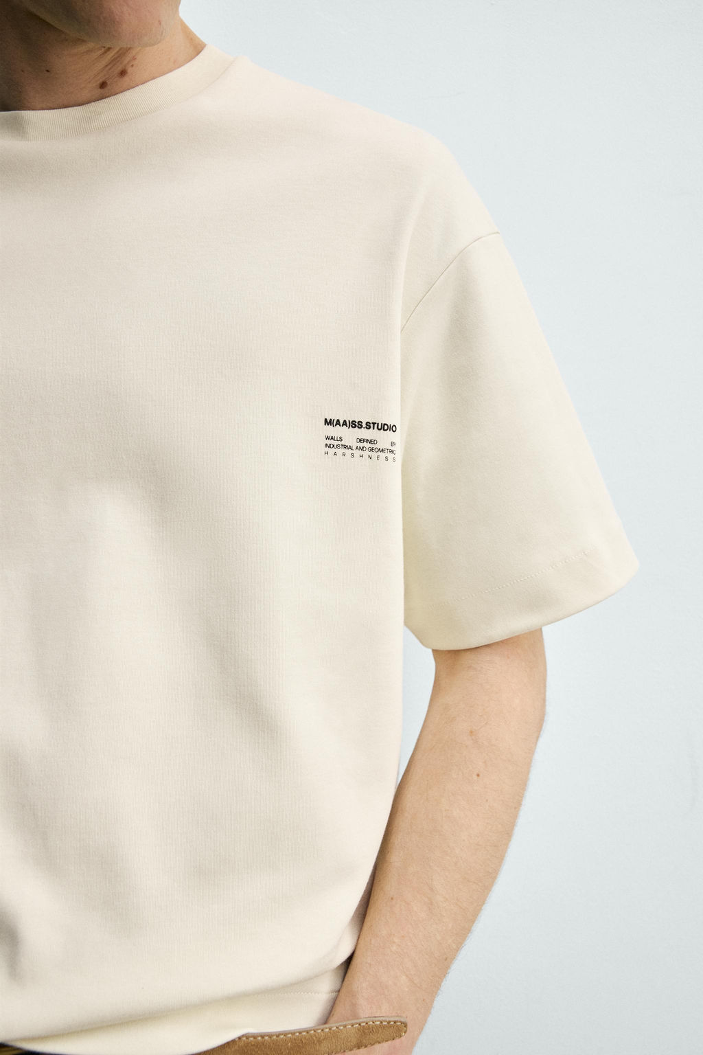 SUDADERA INTERLOCK ESTAMPADO FOTOGR?FICO / Beige - Zara фото 5