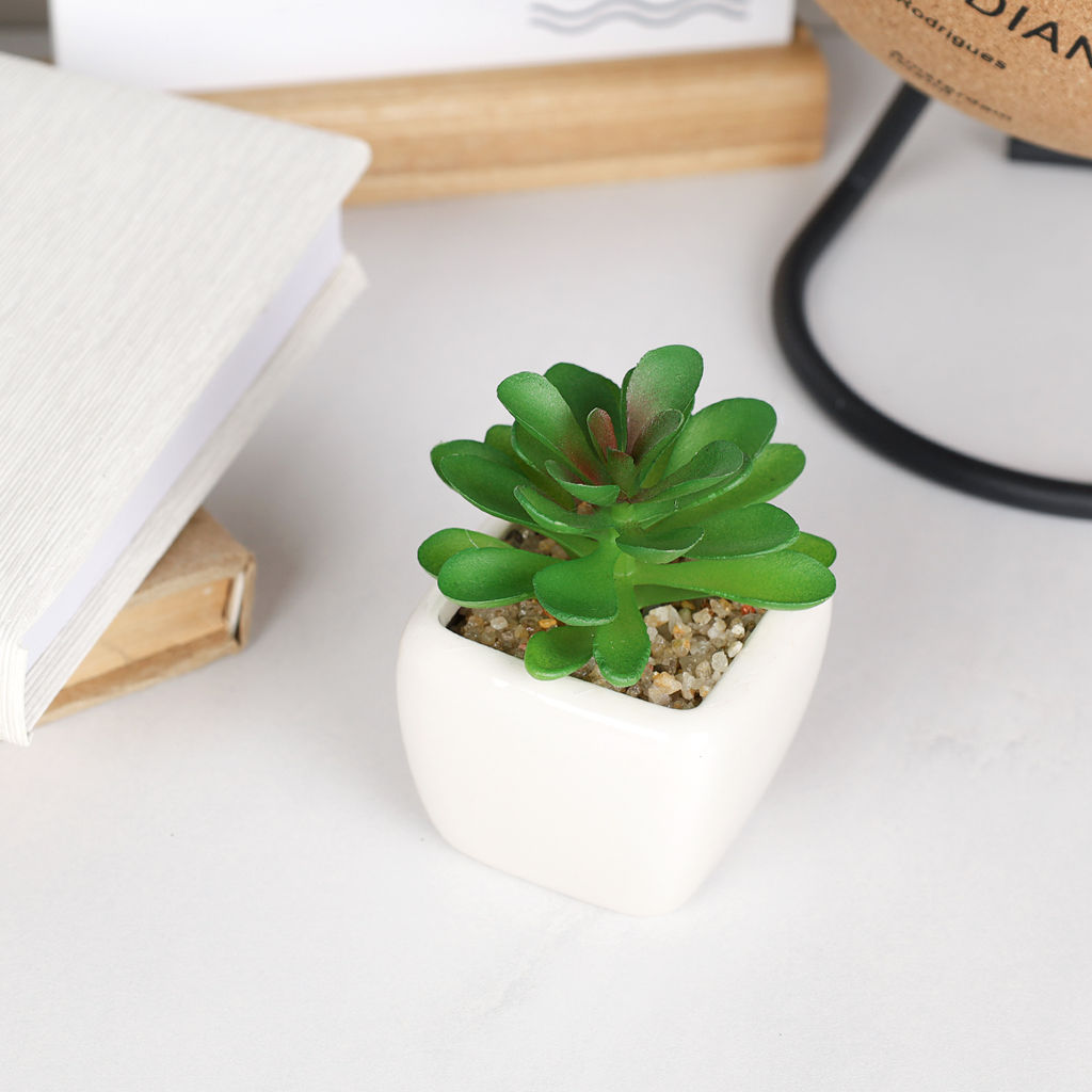 Цветочная композиция Кактус 9 см / FA2891 /уп 12/192/