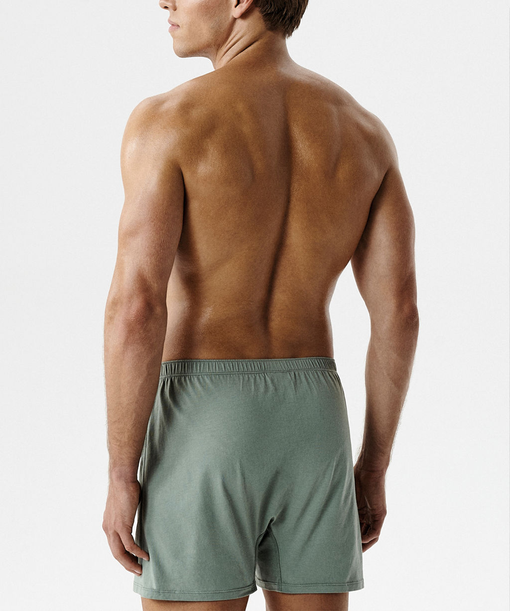 ATLANTIC RMX-003 Трусы боксеры - 1 шт. светло-зеленый  фото 2