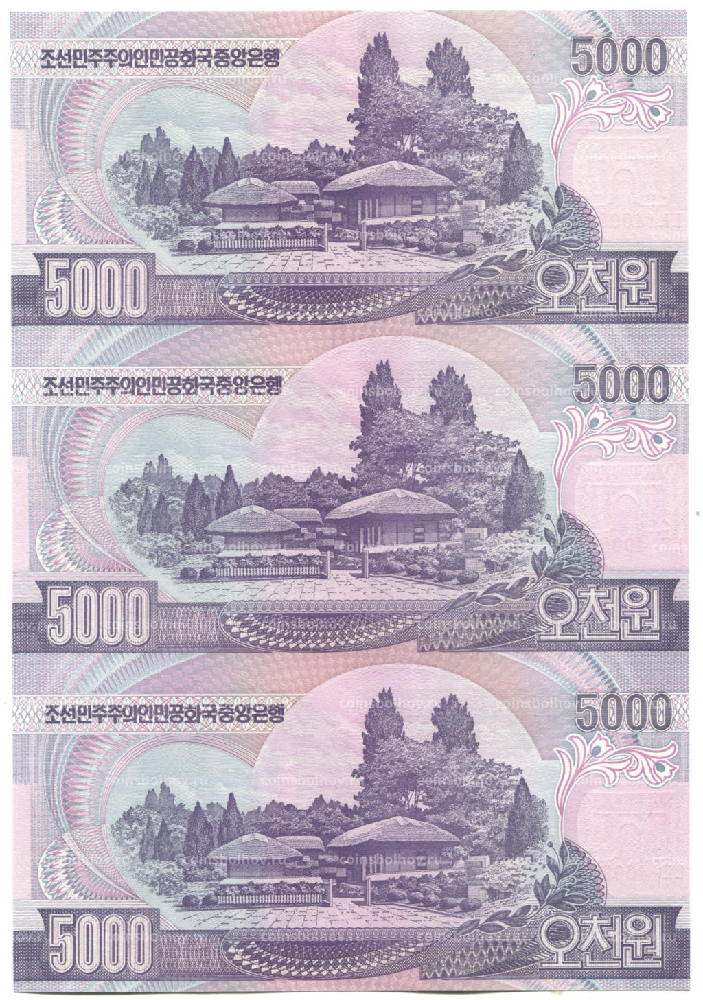 5000 вон 2006 года Северная Корея  Лист из трех банкнот