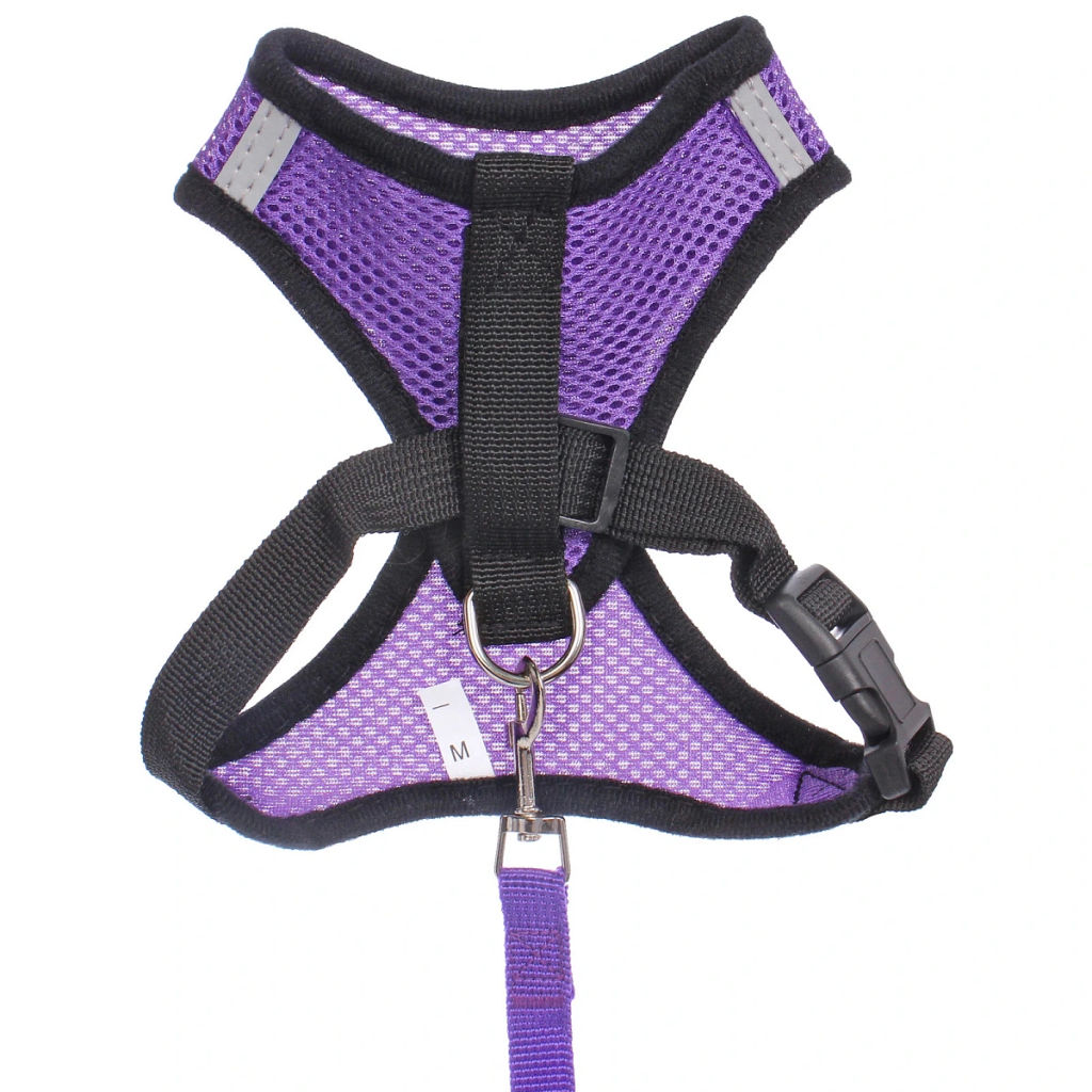 Цена за 2 шт. Шлейка с поводком 118см "Sweet puppy" размер M, цвет фиолетовый