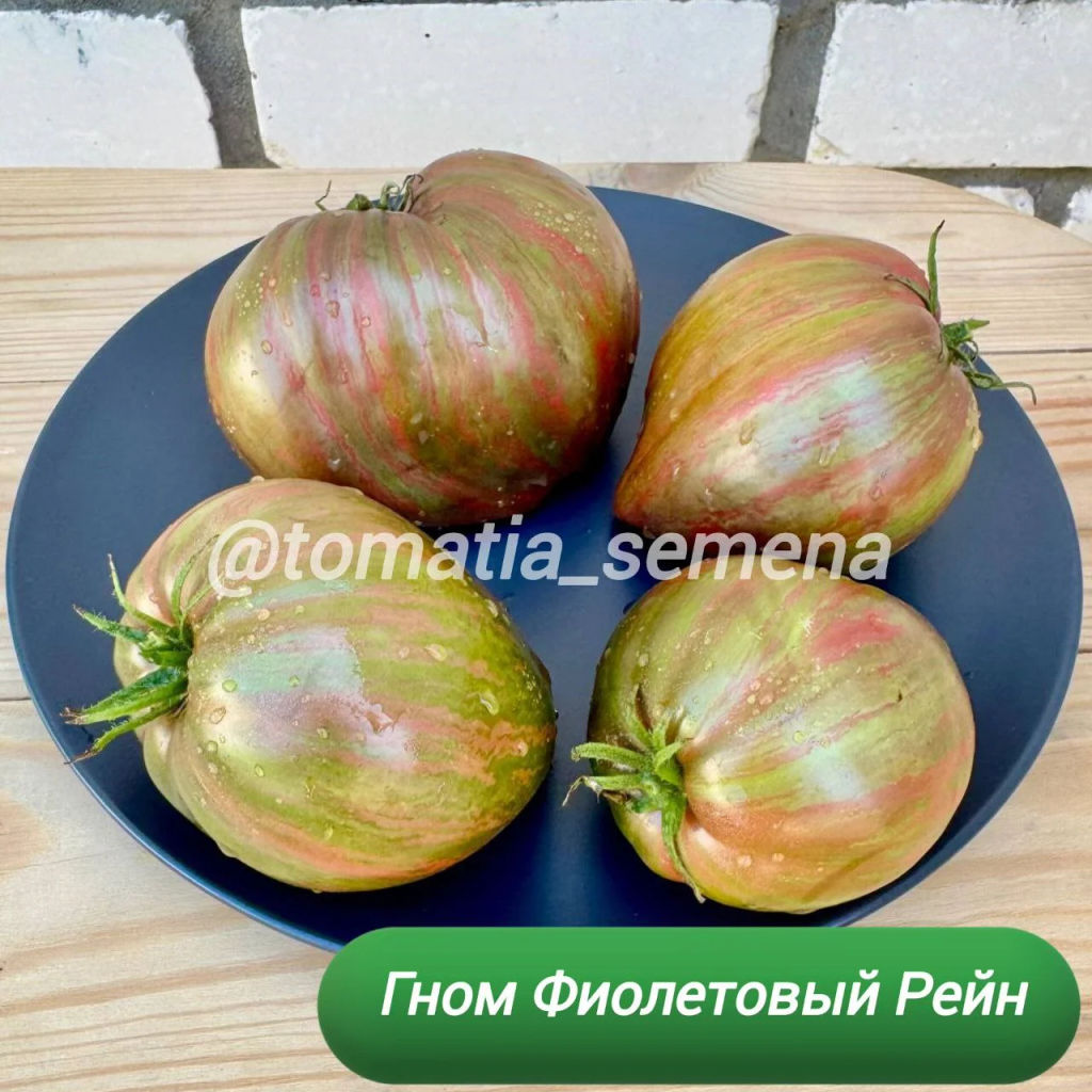 Гном Фиолетовый Рейн НОВИНКА 2025 года!