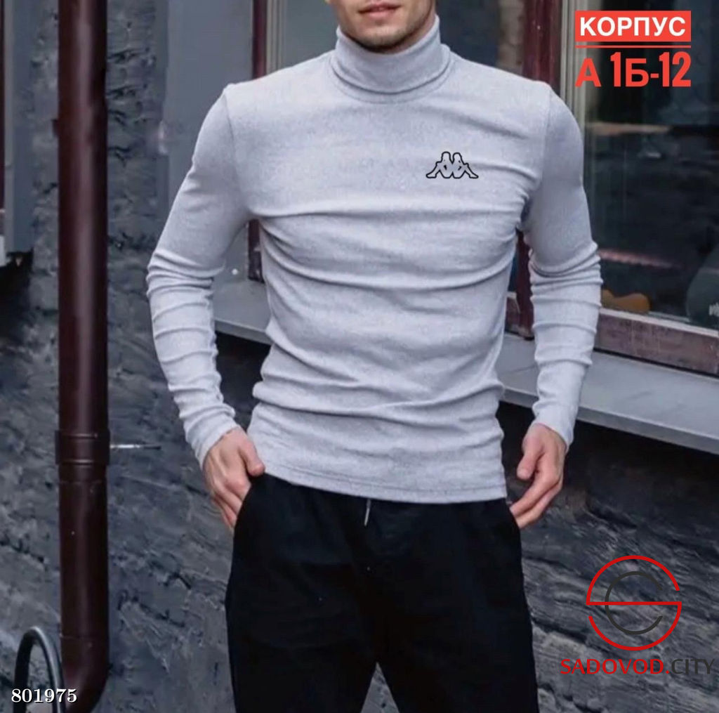 Водолазка для мужчин с начесом, из хлопка