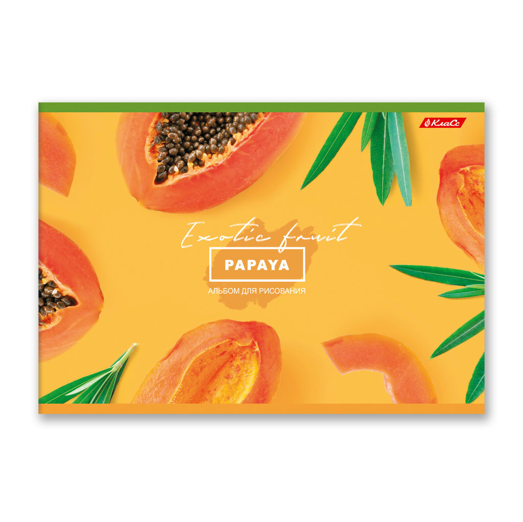 Светоч 48АЛСК4_1_3_9 Альбом для рисования 100 г/м2 A4 29 х 20.5 см 48 л. 5 шт. на скобе 000260 Зелёная ракета фото 24