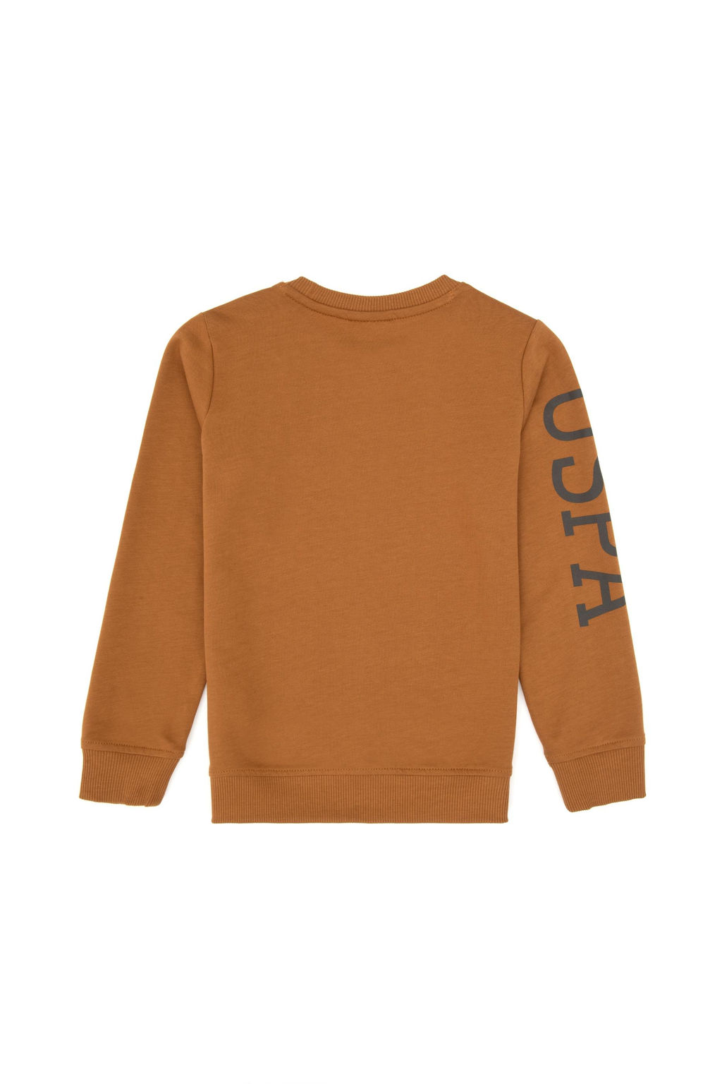 Erkek _ocuk Camel Basic Bisiklet Yaka Sweatshirt Sepette S_rpriz _ndirim - U.s. polo assn фото 3